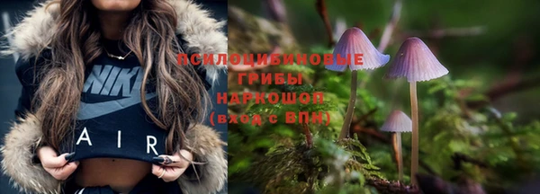 спайс Михайловск