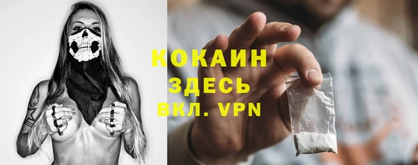 твердый Абаза