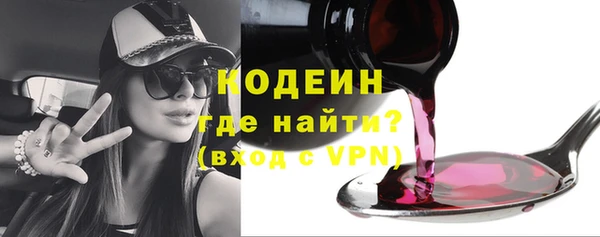 прущие грибы Абинск
