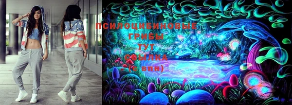 твердый Абаза