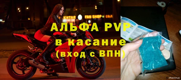 твердый Абаза