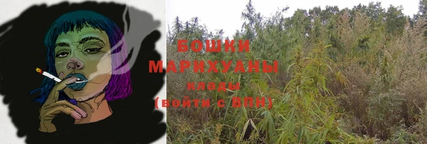 apvp Михайлов